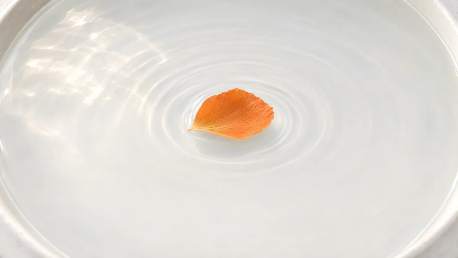 Einzelnes orangefarbenes Blütenblatt mit feiner Äderung auf stiller Wasserfläche in einem hellen, matt porzellanweißen Keramikbecken, umgeben von flachen konzentrischen Ringen